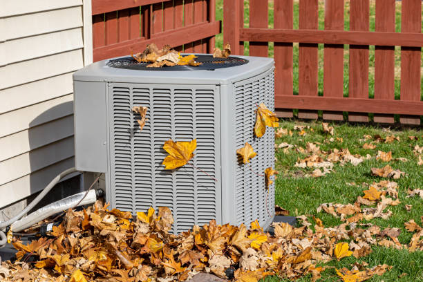 Best Furnace Cleaning in Wesley Chapel, FL